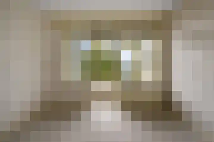 Leverkruidweg 121 Zaandam thumbnail 15