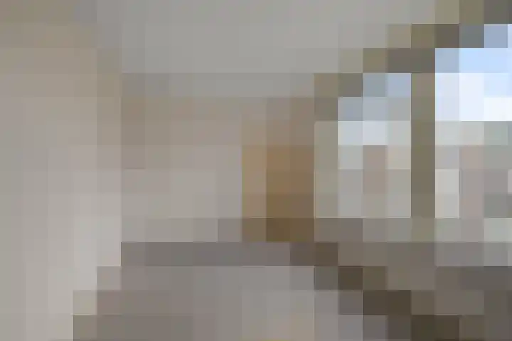 Leverkruidweg 121 Zaandam thumbnail 18