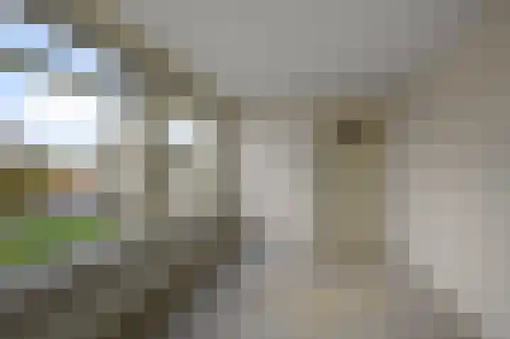 Leverkruidweg 121 Zaandam thumbnail 19