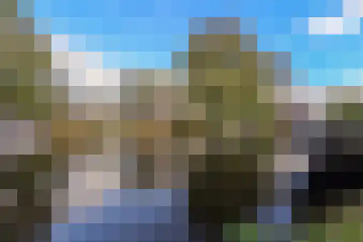 Leverkruidweg 121 Zaandam thumbnail 23