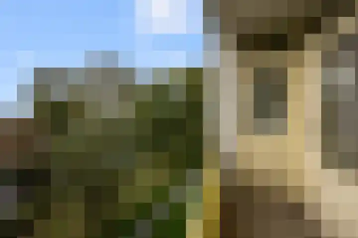 Leverkruidweg 121 Zaandam thumbnail 4