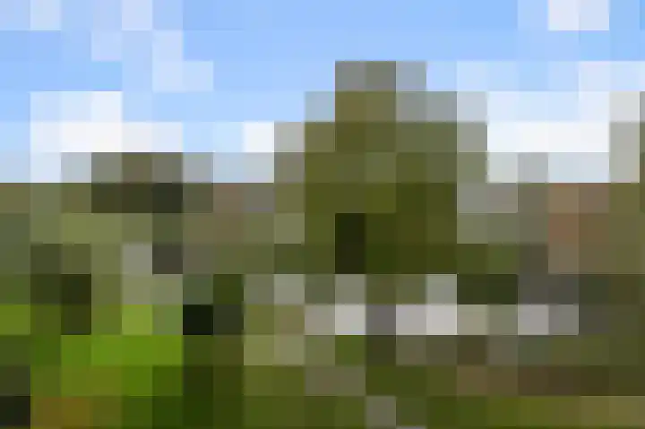 Leverkruidweg 121 Zaandam thumbnail 5