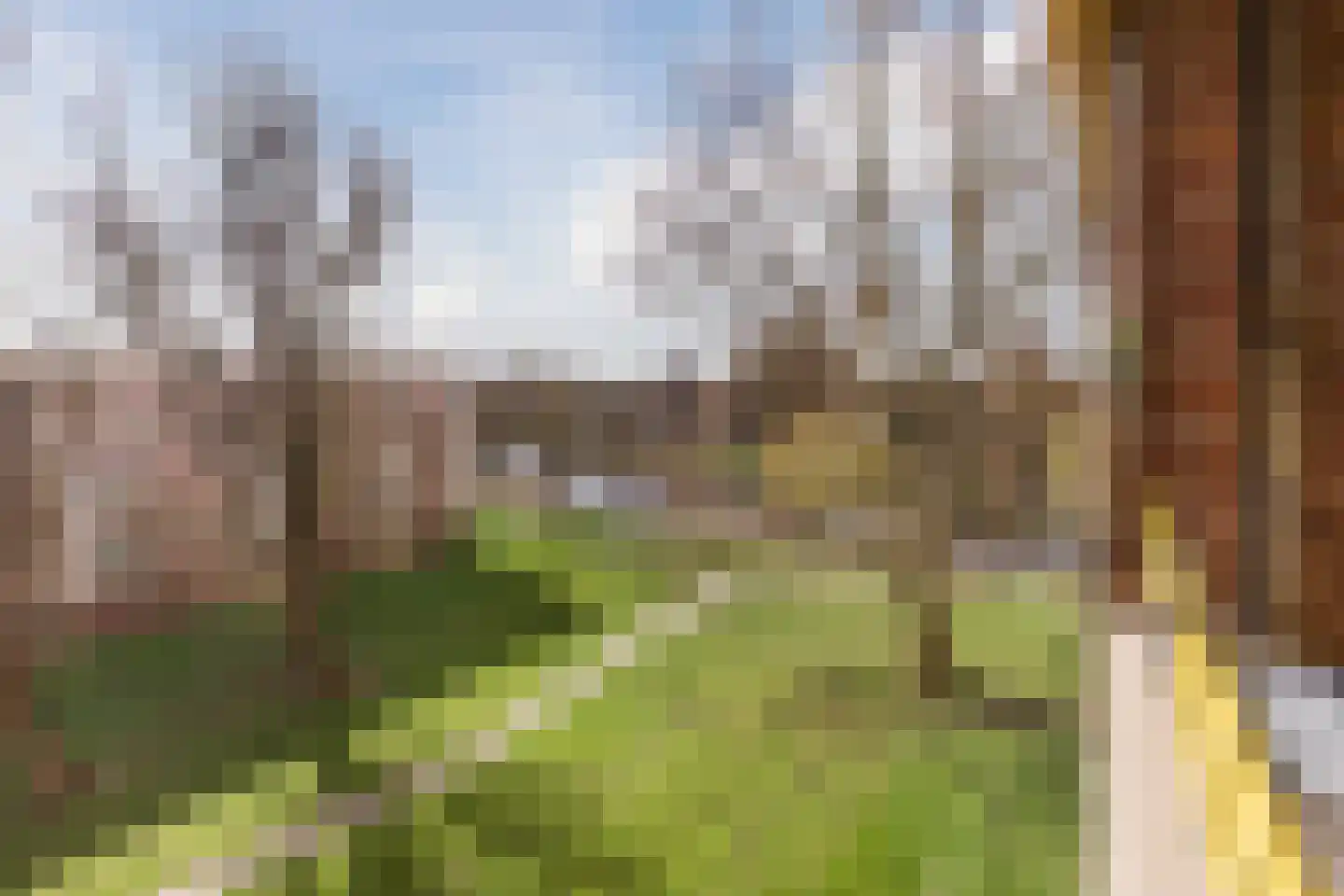 Leverkruidweg 127 Zaandam thumbnail 20