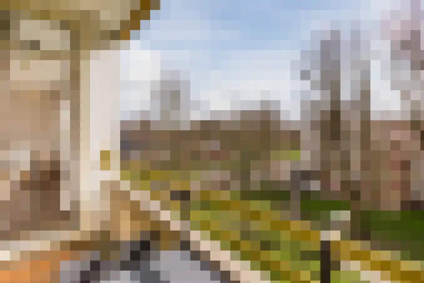 Leverkruidweg 127 Zaandam thumbnail 21