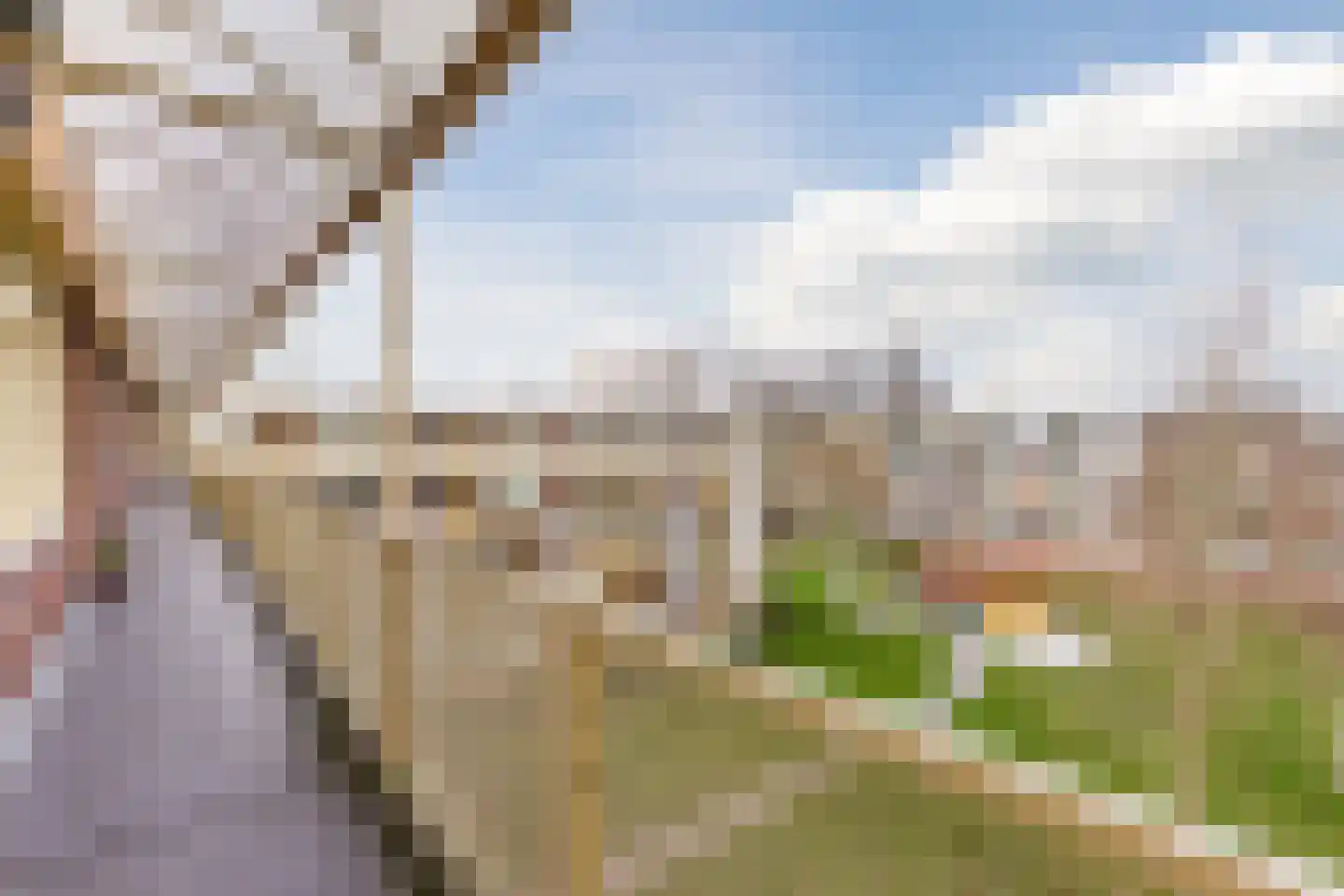 Leverkruidweg 127 Zaandam thumbnail 23