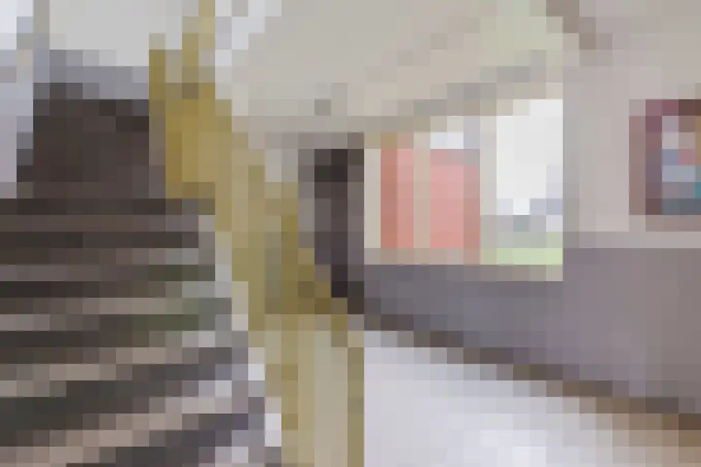 Leverkruidweg 127 Zaandam thumbnail 24