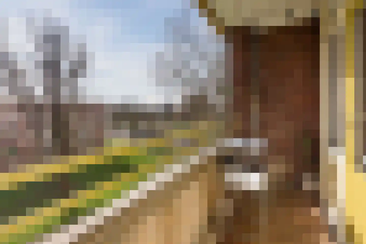 Leverkruidweg 127 Zaandam thumbnail 4