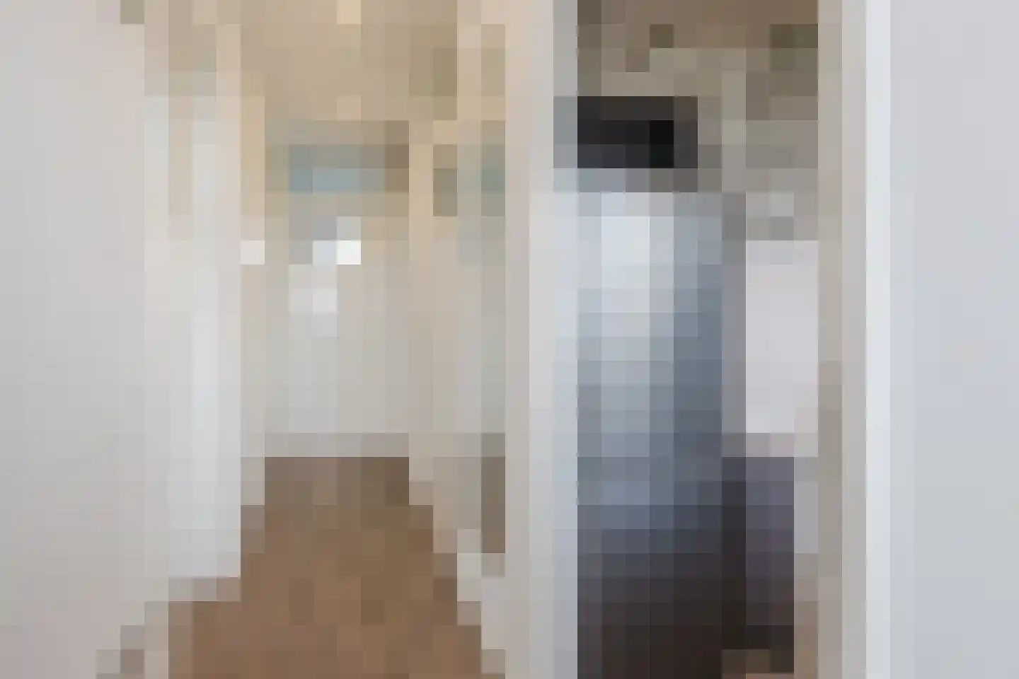 Leverkruidweg 127 Zaandam thumbnail 5