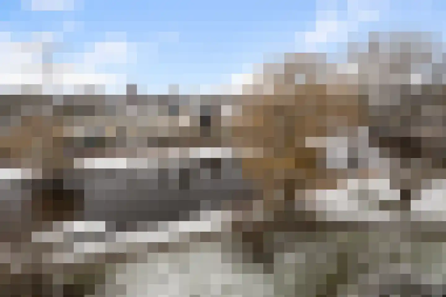 Leverkruidweg 135 Zaandam thumbnail 16