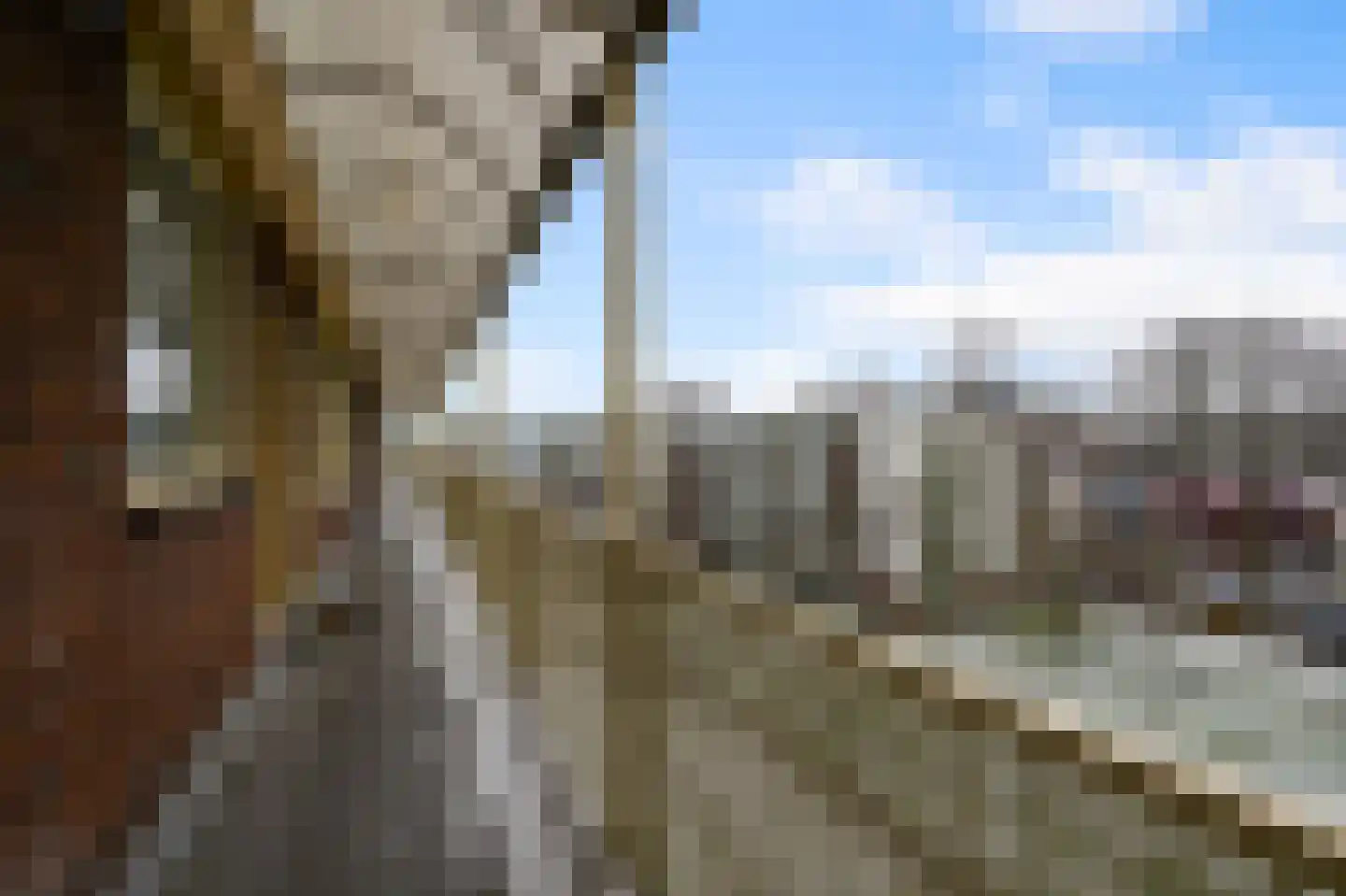 Leverkruidweg 135 Zaandam thumbnail 5
