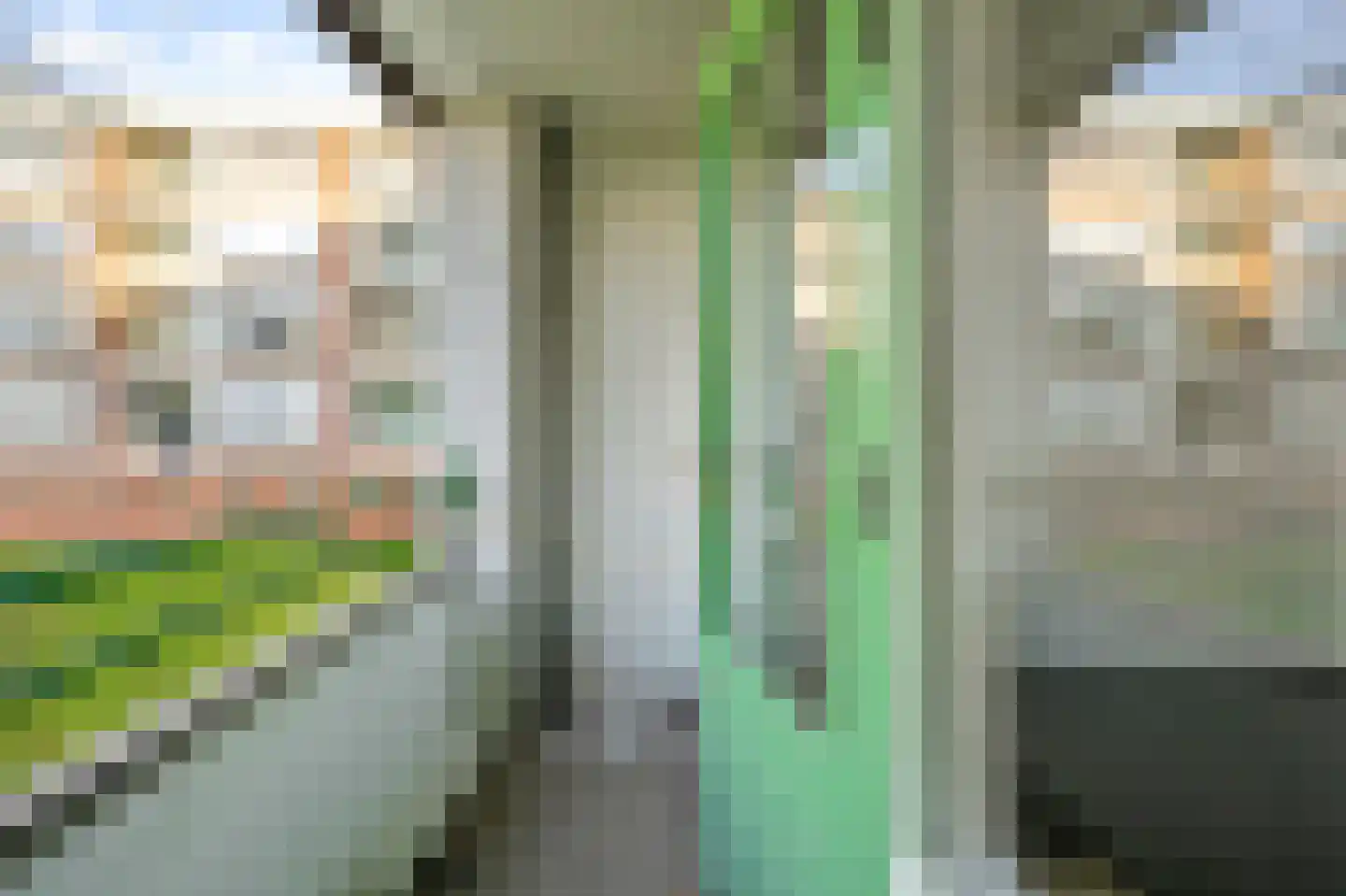Leverkruidweg 151 Zaandam thumbnail 22
