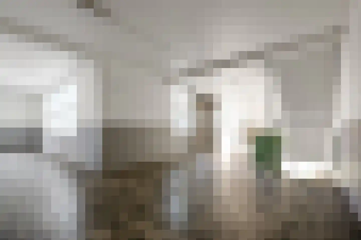 Leverkruidweg 151 Zaandam thumbnail 5