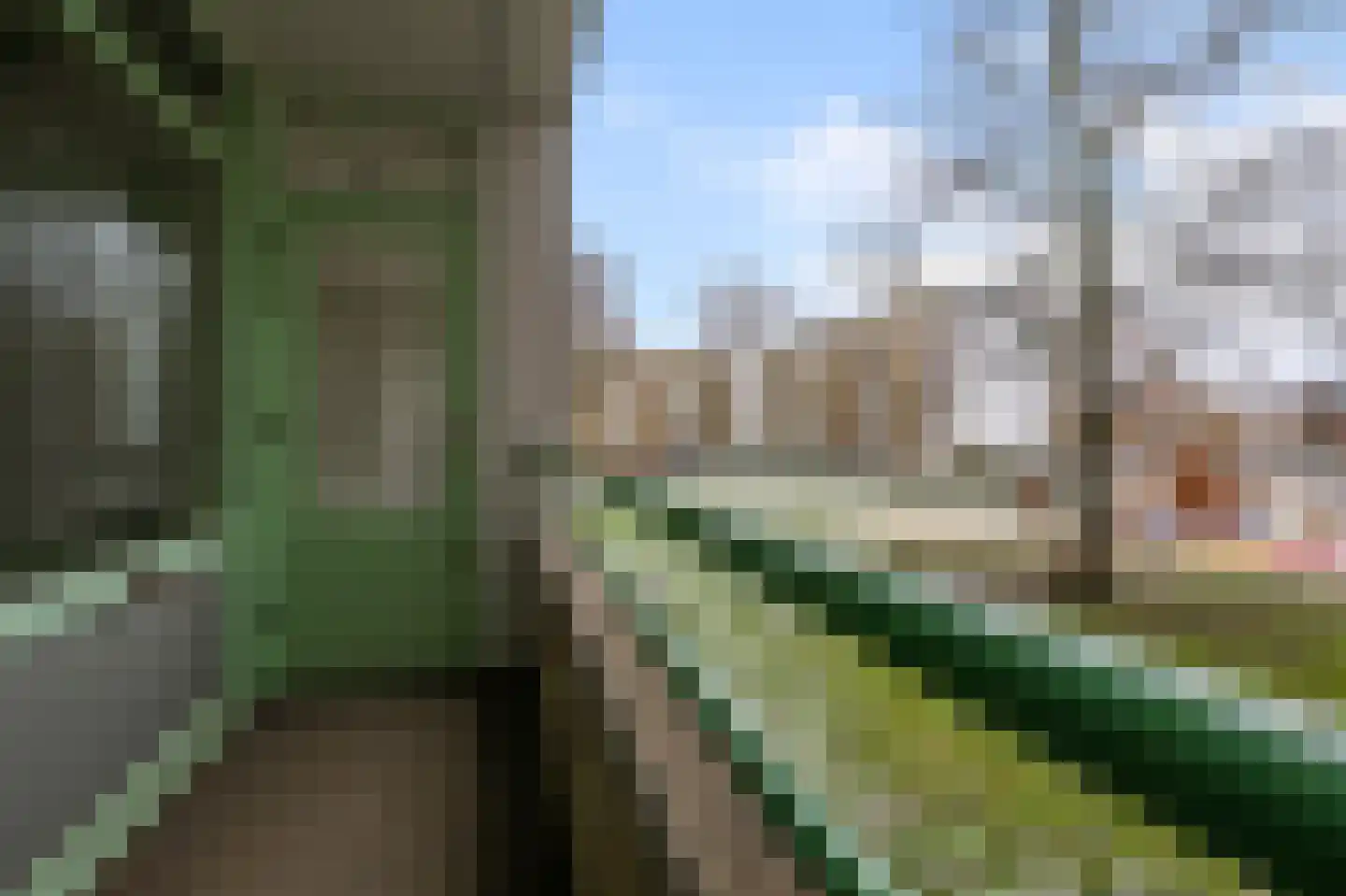 Leverkruidweg 155 Zaandam thumbnail 5