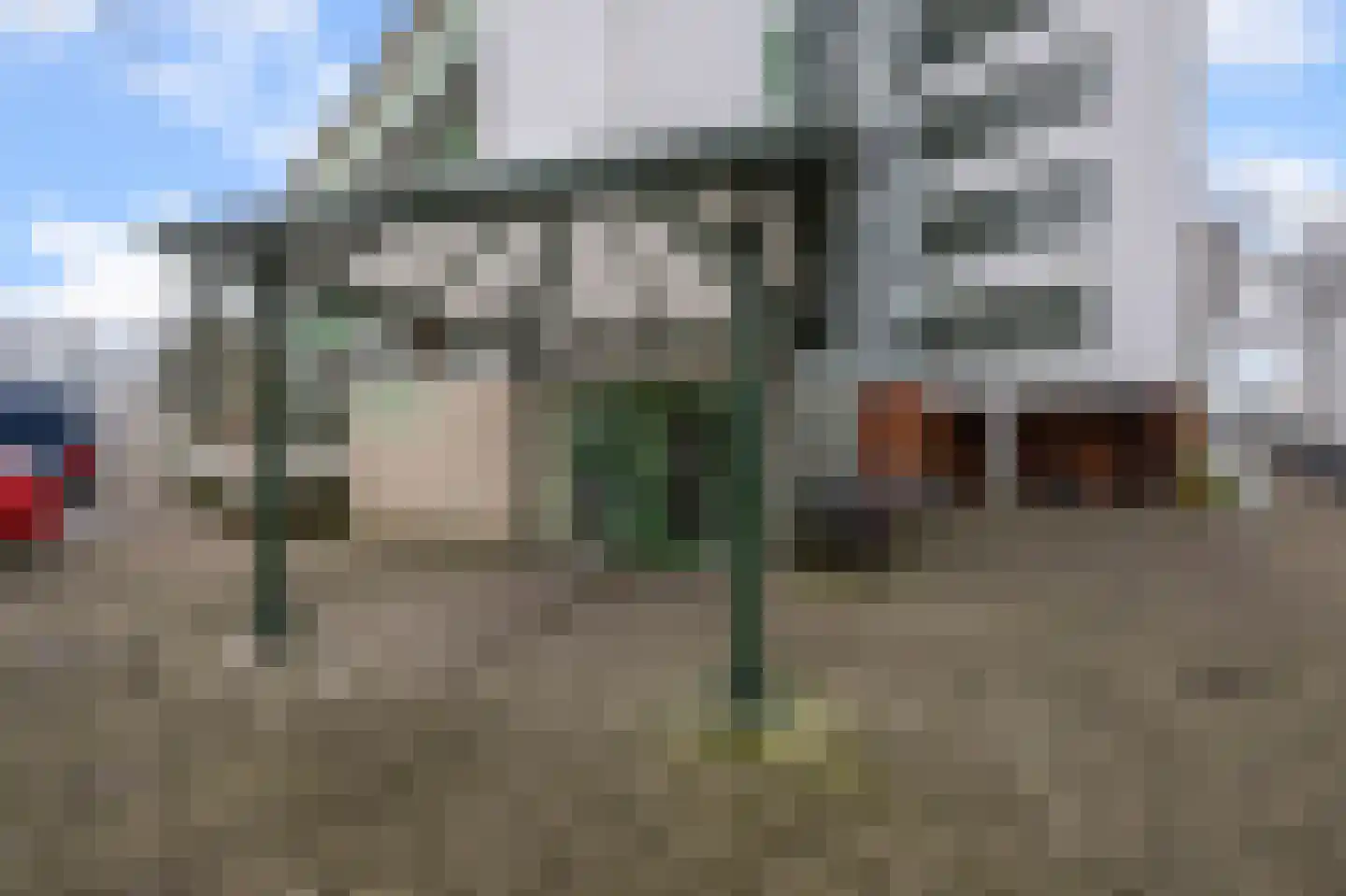 Leverkruidweg 155 Zaandam thumbnail 6