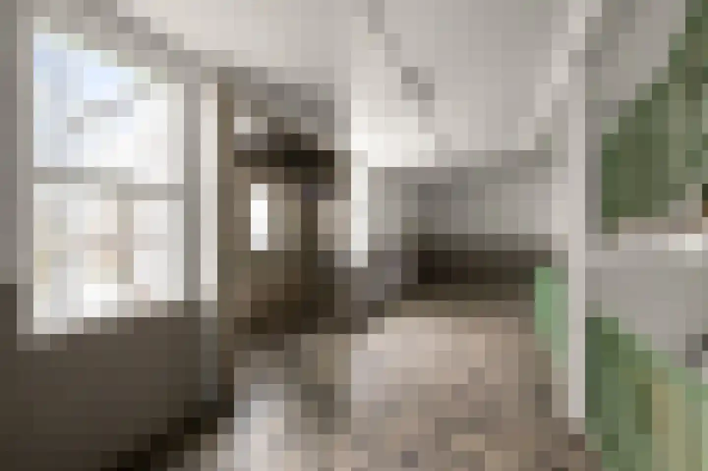 Leverkruidweg 155 Zaandam thumbnail 7