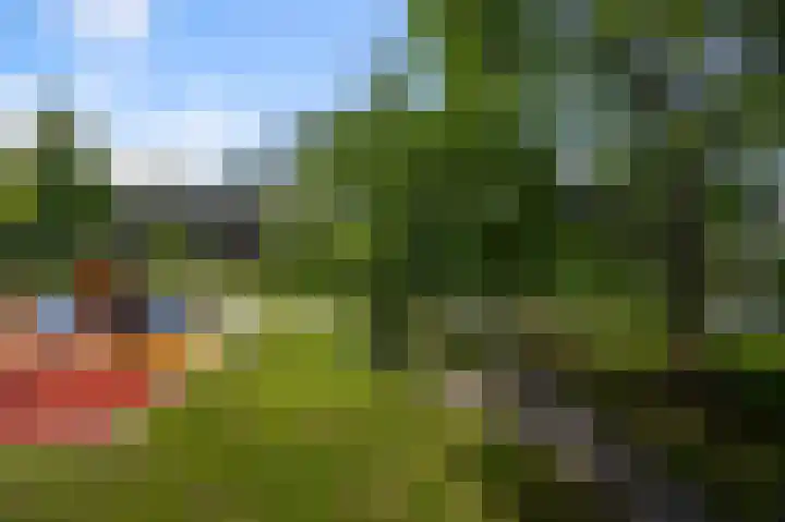 Leverkruidweg 165 Zaandam thumbnail 15