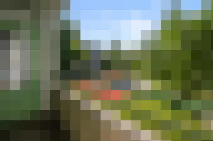 Leverkruidweg 165 Zaandam thumbnail 5