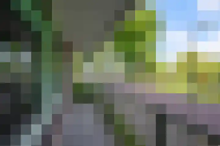 Leverkruidweg 165 Zaandam thumbnail 8