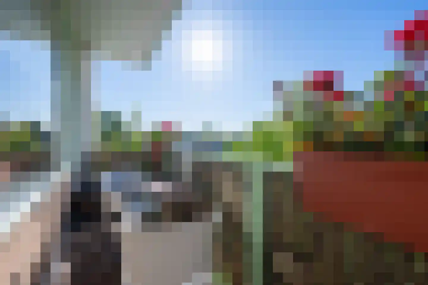 Leverkruidweg 185 Zaandam thumbnail 12