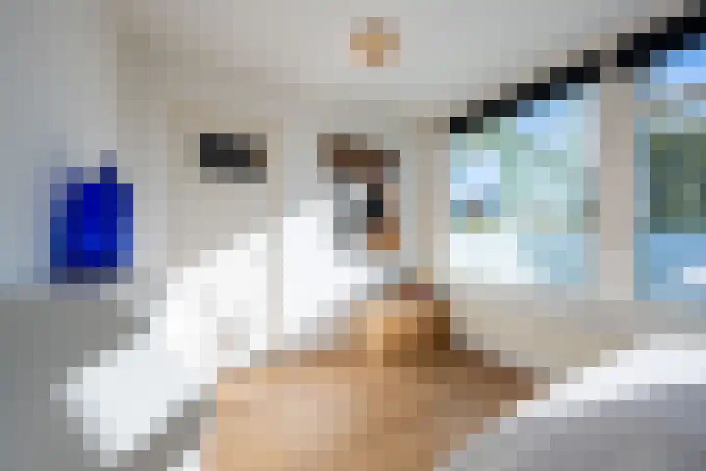 Leverkruidweg 185 Zaandam thumbnail 16