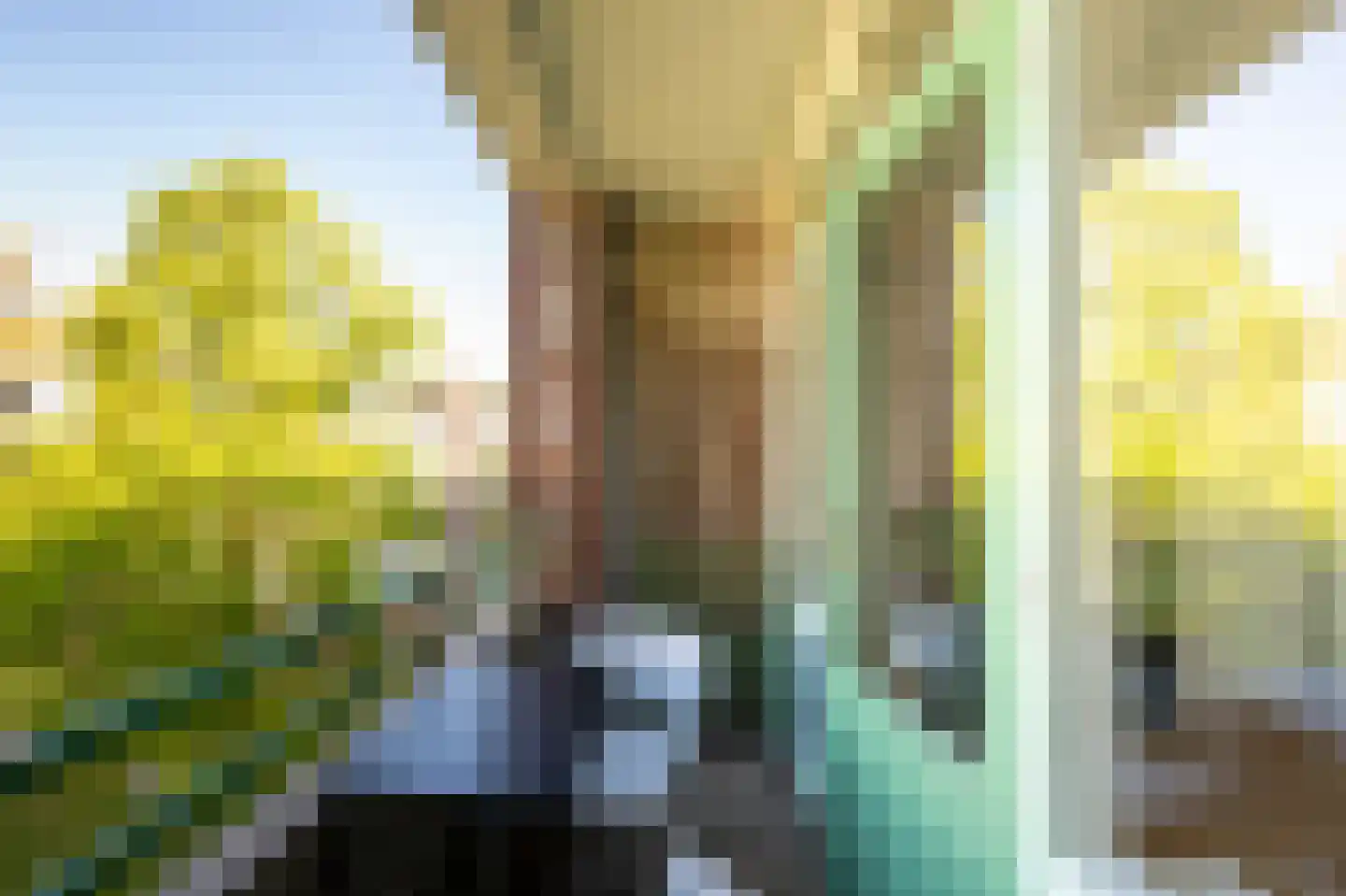 Leverkruidweg 185 Zaandam thumbnail 19