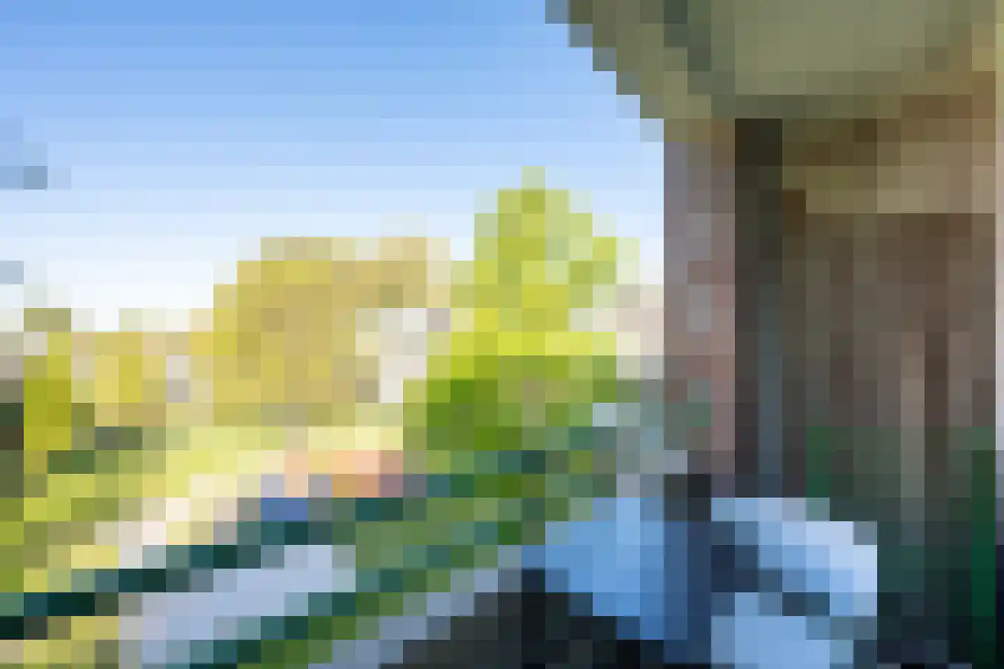 Leverkruidweg 185 Zaandam thumbnail 20