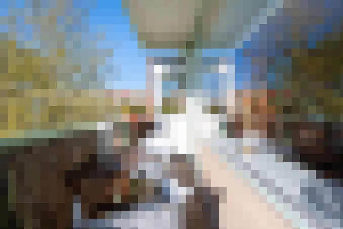 Leverkruidweg 185 Zaandam thumbnail 4