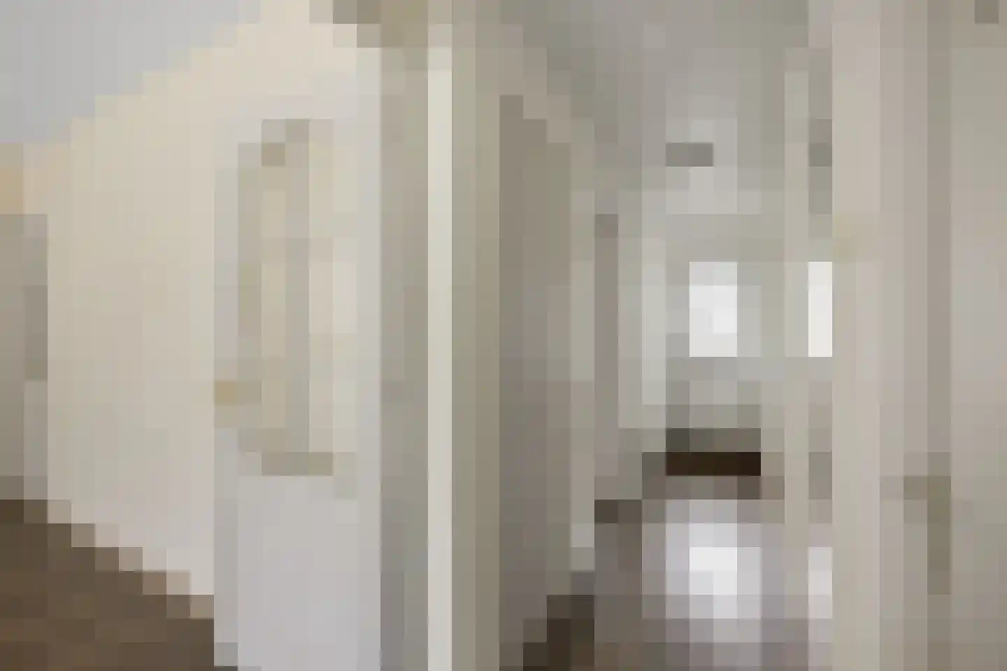 Leverkruidweg 221 Zaandam thumbnail 15