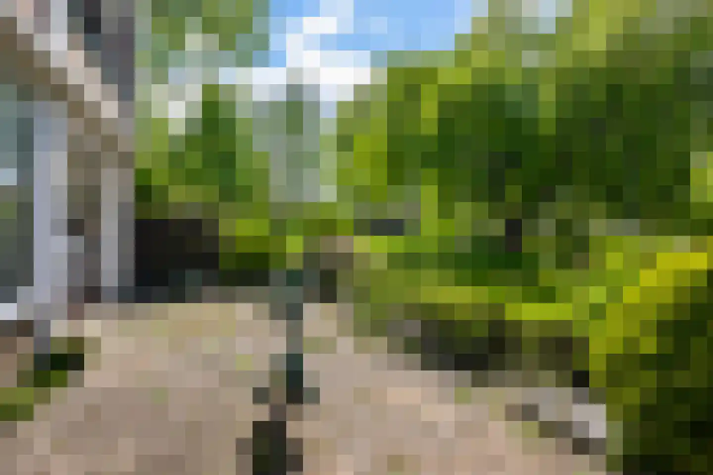 Leverkruidweg 221 Zaandam thumbnail 17