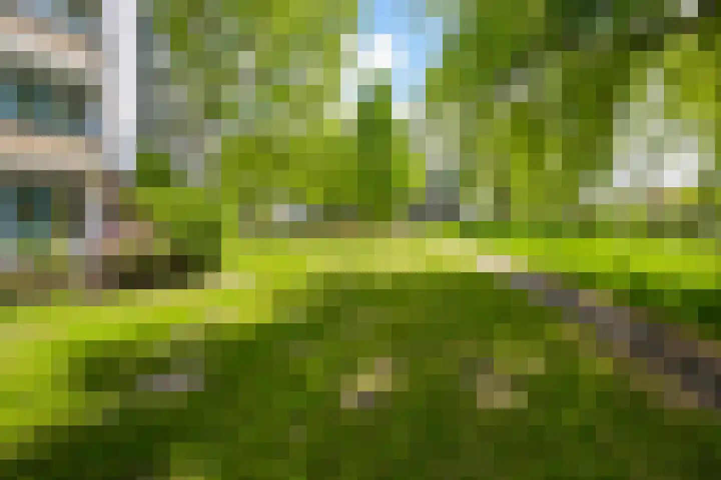 Leverkruidweg 221 Zaandam thumbnail 19