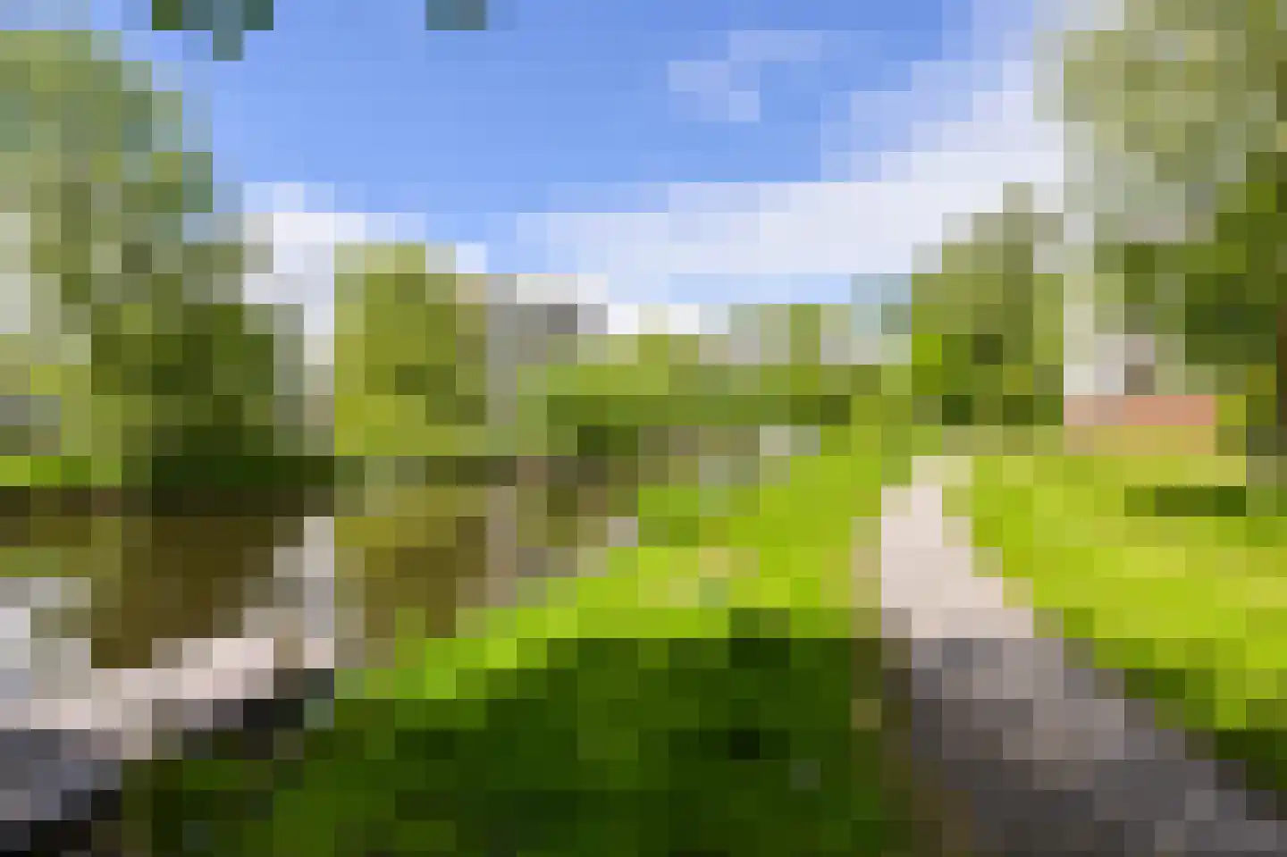 Leverkruidweg 221 Zaandam thumbnail 20