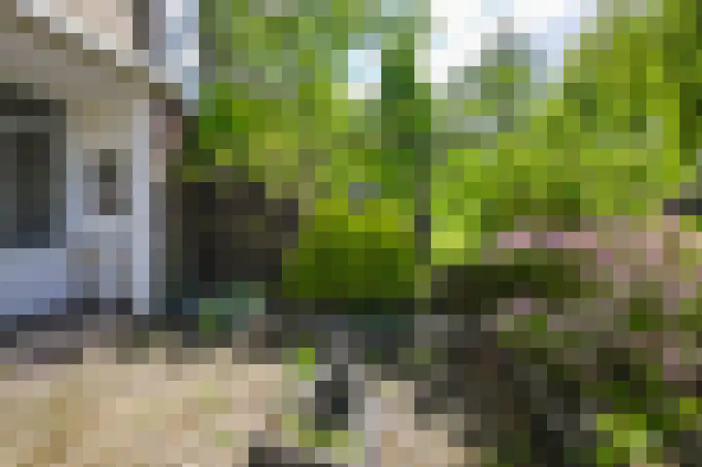 Leverkruidweg 221 Zaandam thumbnail 22