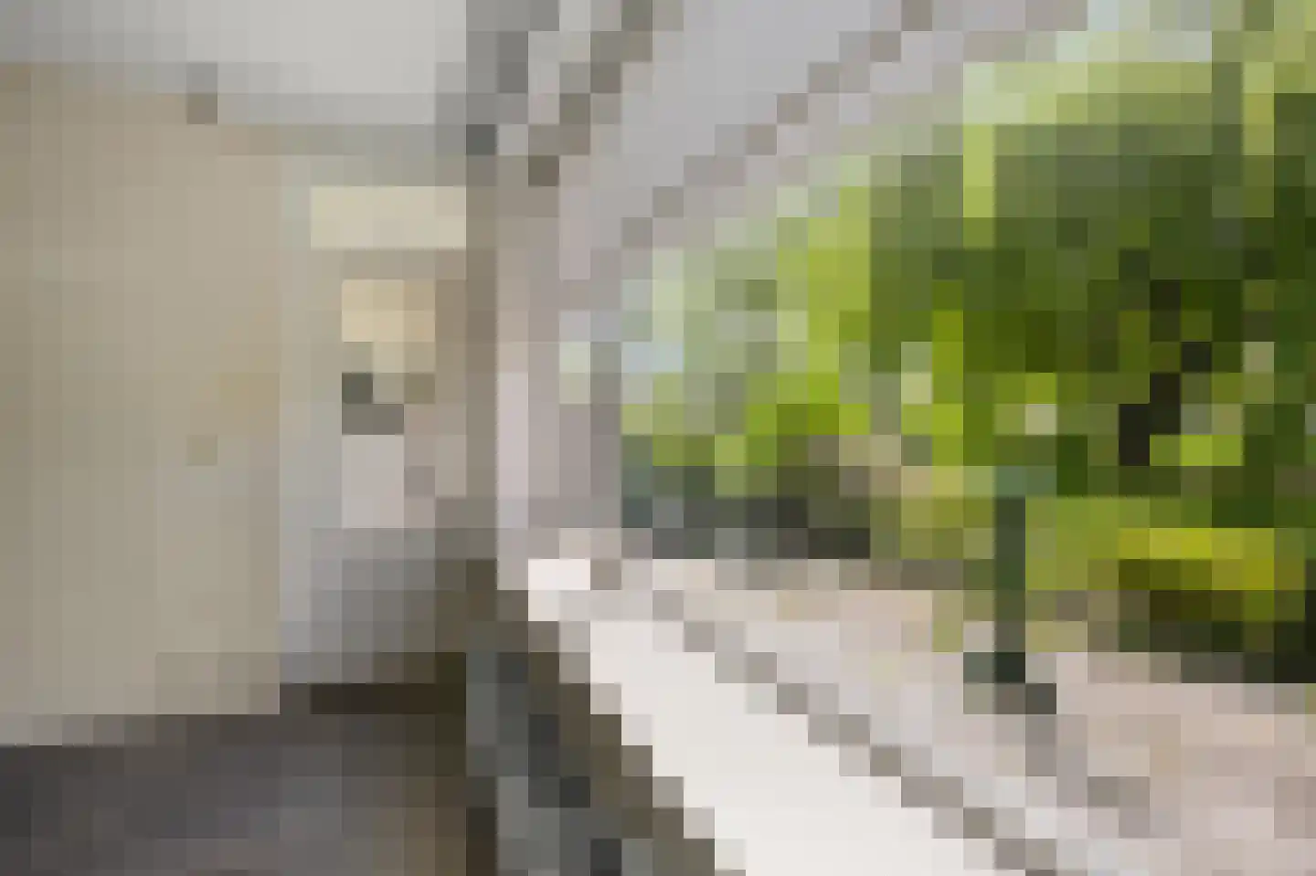 Leverkruidweg 221 Zaandam thumbnail 31
