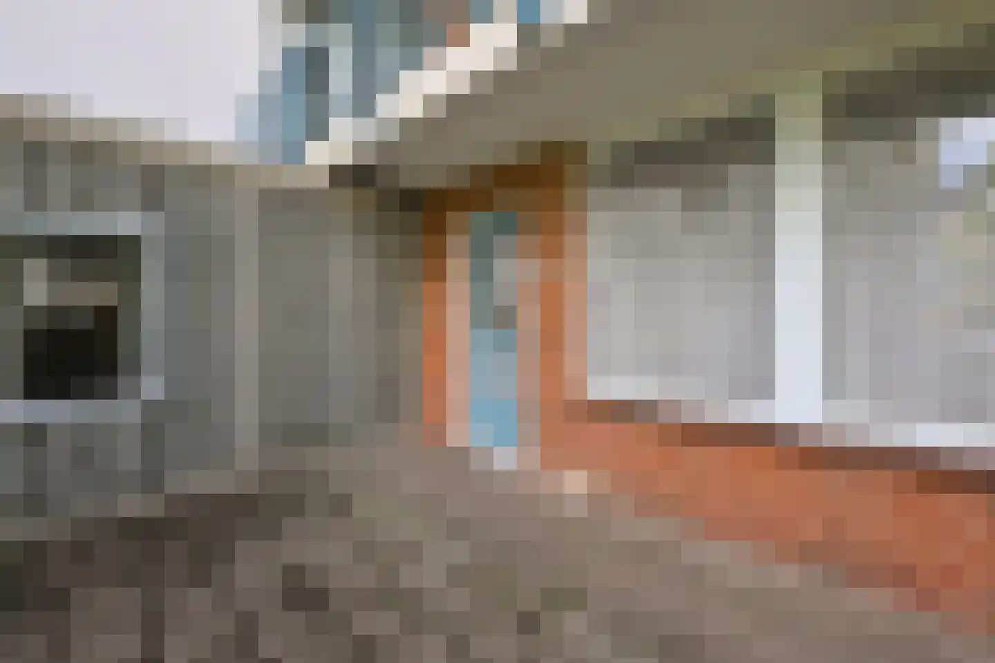 Leverkruidweg 221 Zaandam thumbnail 7