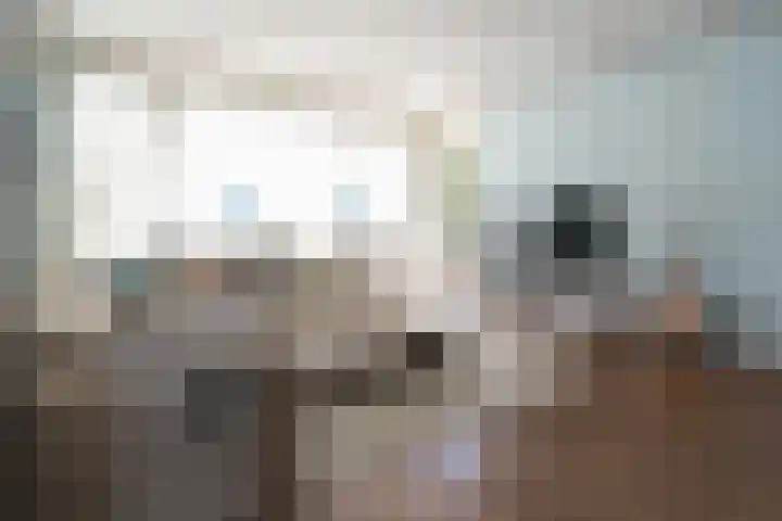 Leverkruidweg 251 Zaandam thumbnail 11