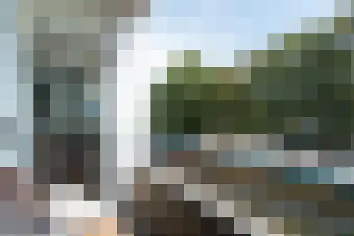 Leverkruidweg 251 Zaandam thumbnail 25