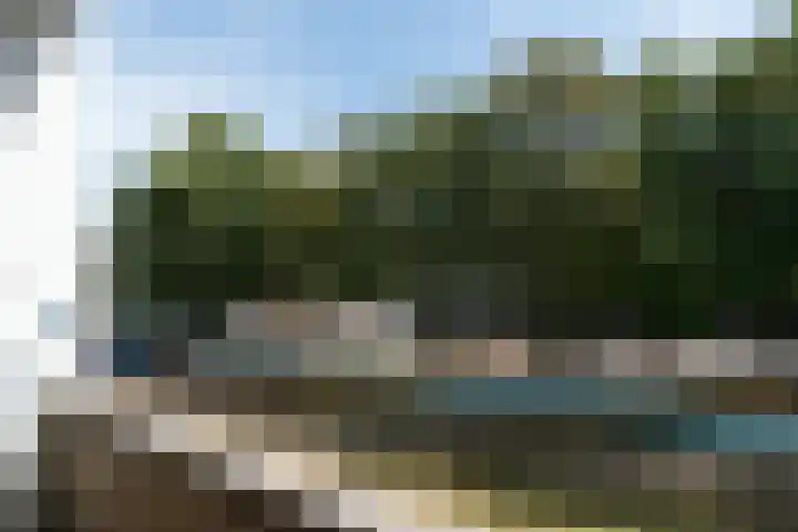 Leverkruidweg 251 Zaandam thumbnail 27