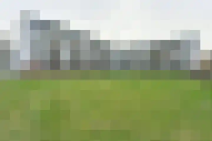 Leverkruidweg 251 Zaandam thumbnail 30