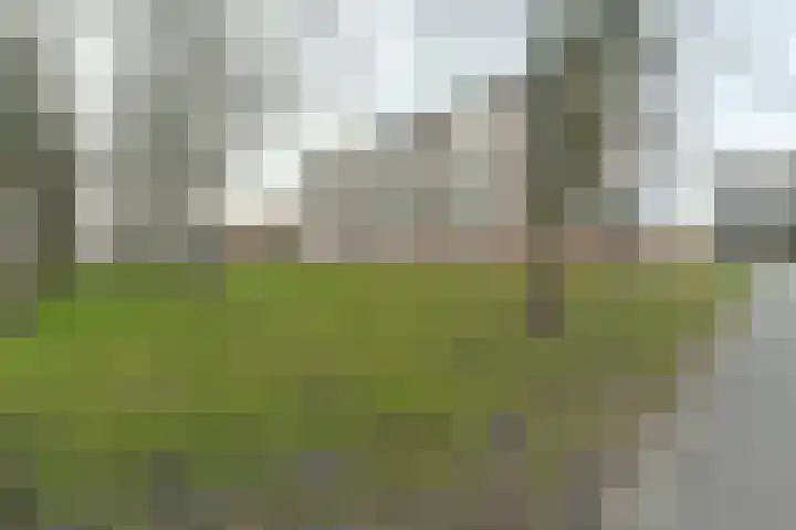 Leverkruidweg 251 Zaandam thumbnail 33