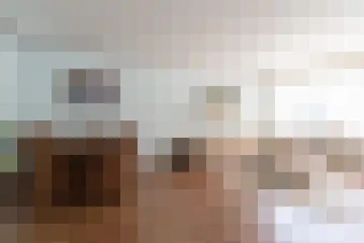 Leverkruidweg 251 Zaandam thumbnail 7