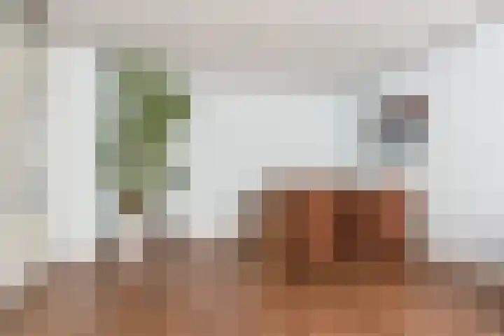 Leverkruidweg 251 Zaandam thumbnail 8