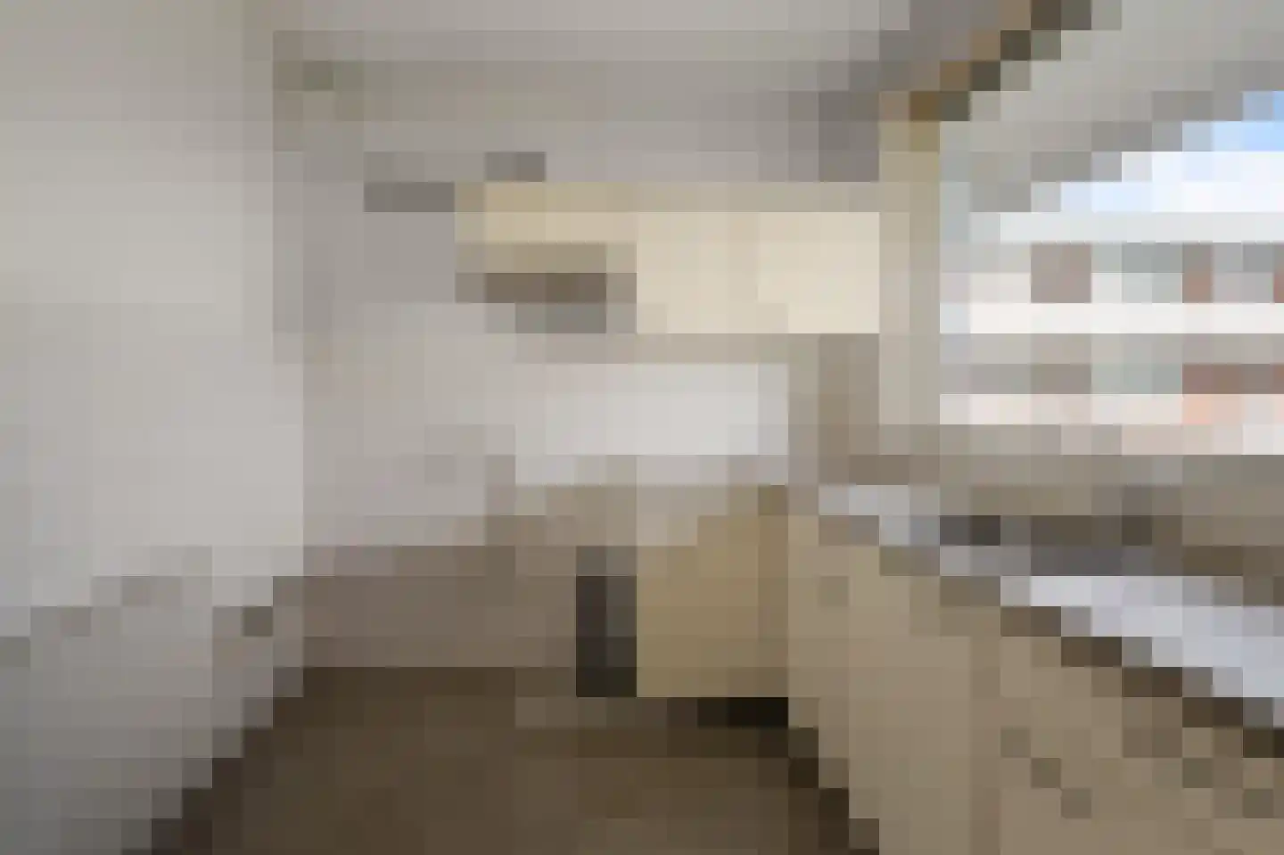 Leverkruidweg 271 Zaandam thumbnail 5