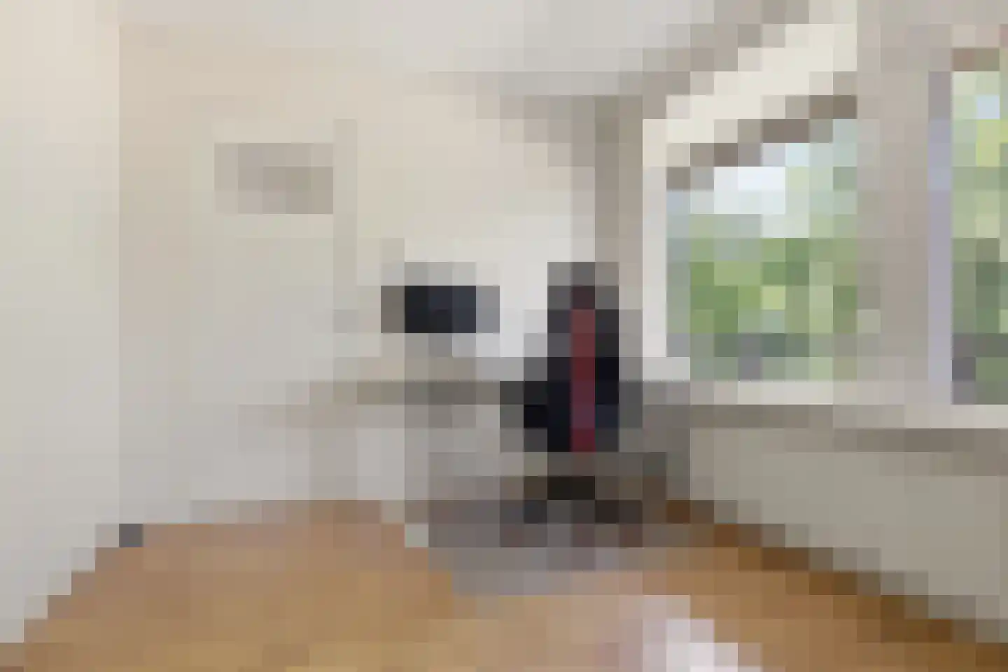 Leverkruidweg 321 Zaandam thumbnail 22