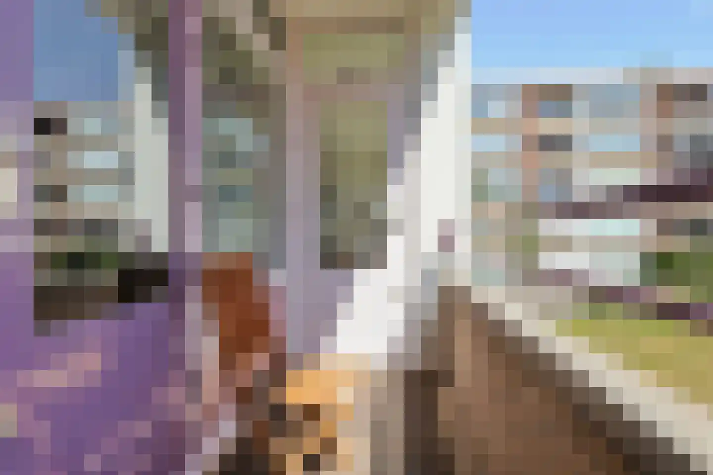 Leverkruidweg 321 Zaandam thumbnail 25