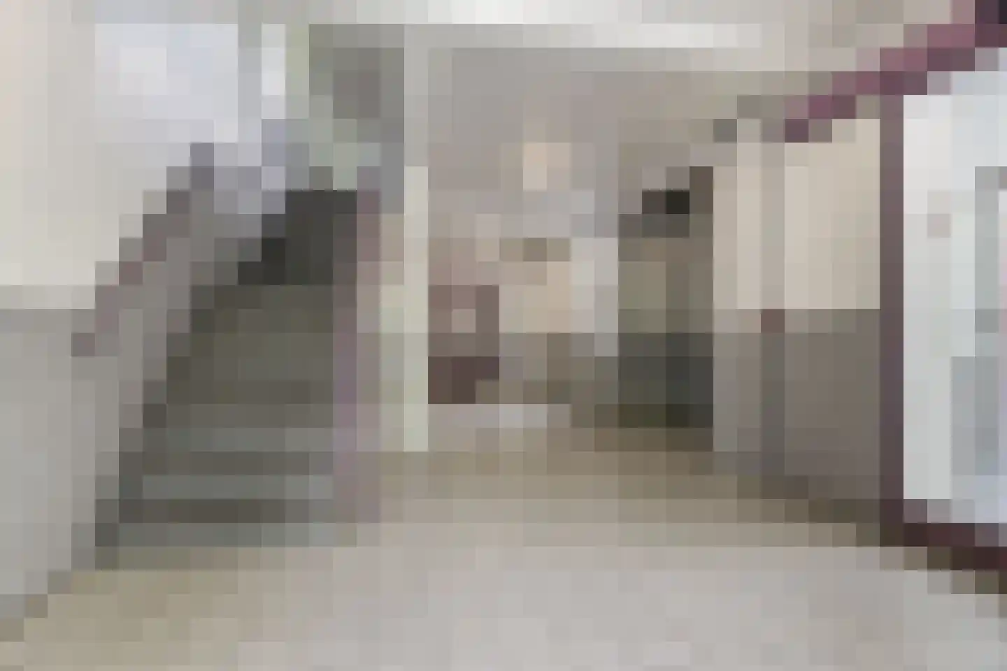 Leverkruidweg 321 Zaandam thumbnail 7