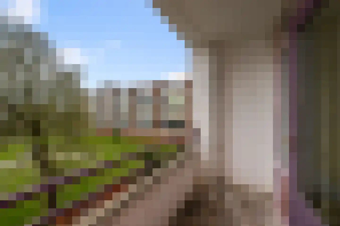 Leverkruidweg 327 Zaandam thumbnail 12