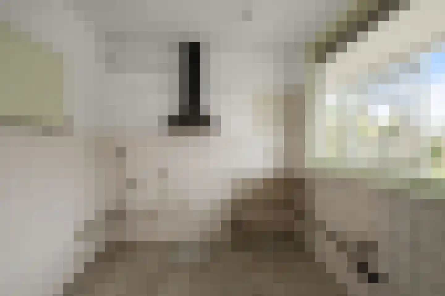 Leverkruidweg 327 Zaandam thumbnail 21