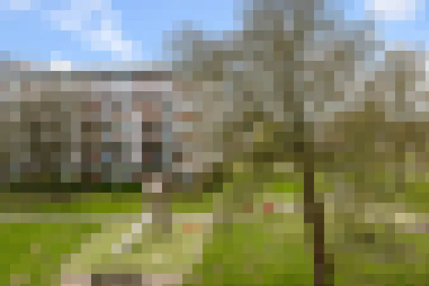 Leverkruidweg 327 Zaandam thumbnail 23