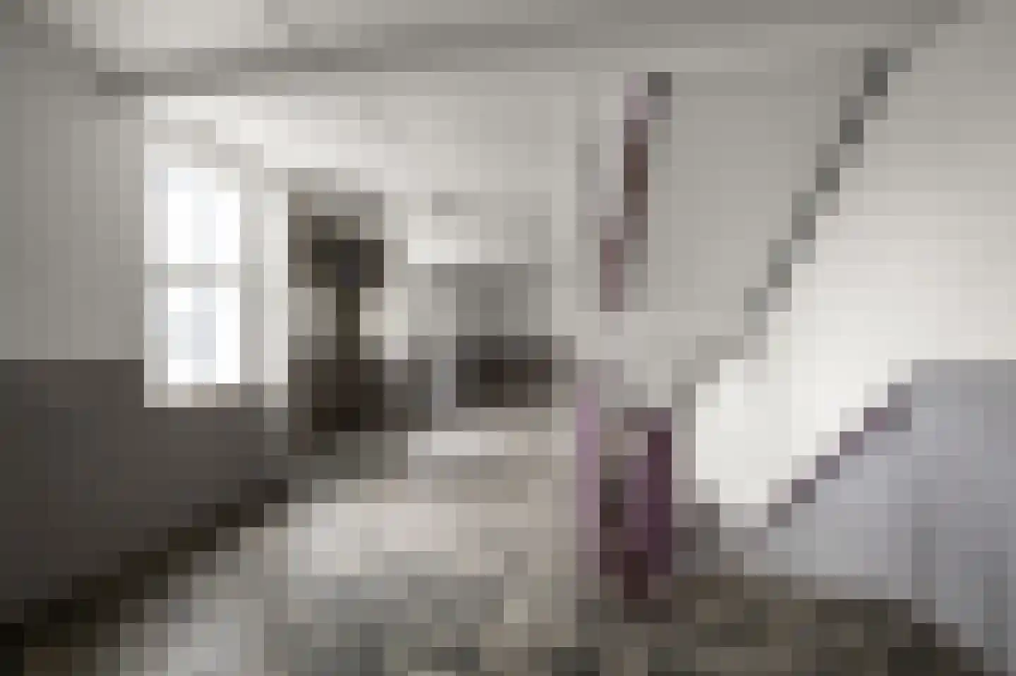 Leverkruidweg 327 Zaandam thumbnail 4