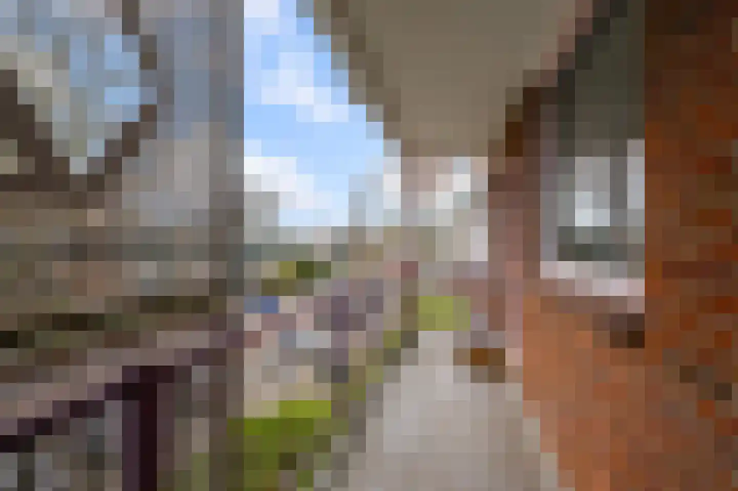 Leverkruidweg 327 Zaandam thumbnail 5